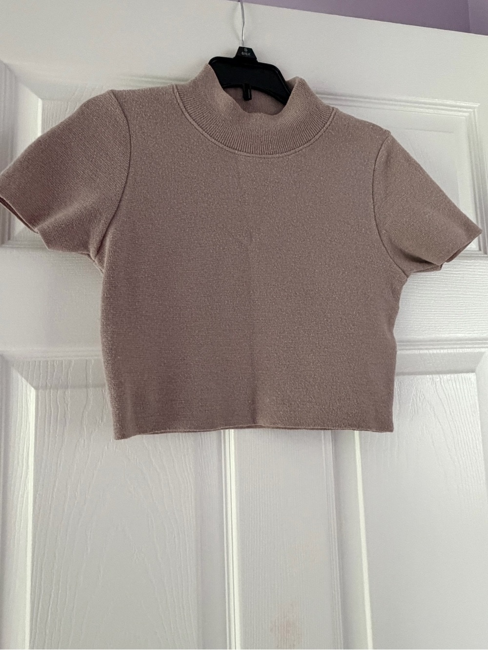 Zara Short Sleeve Mock Neck Crop Top - Dusty Taupe